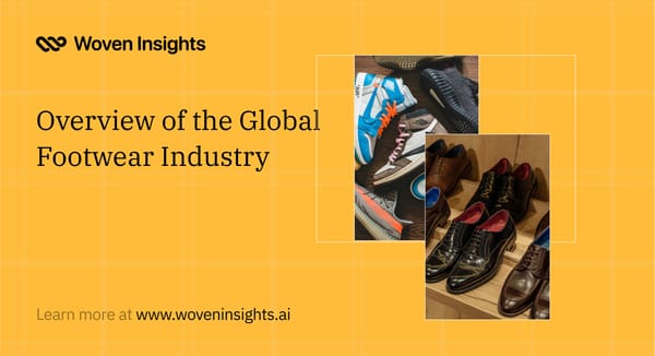 Overview of the Global Footwear Industry